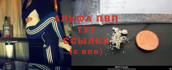 крисы Туринск