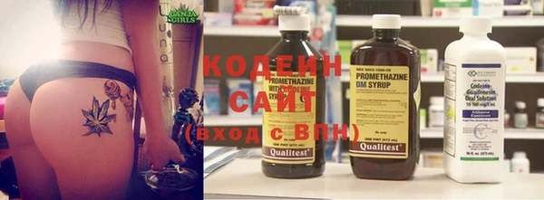 крисы Туринск