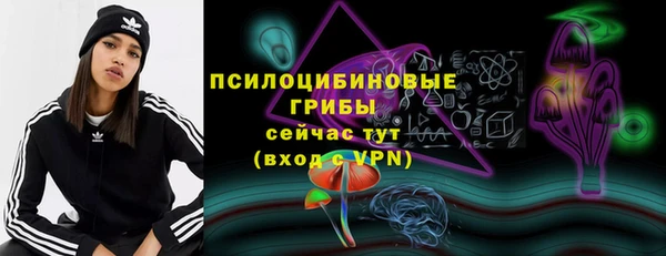 амф Тында