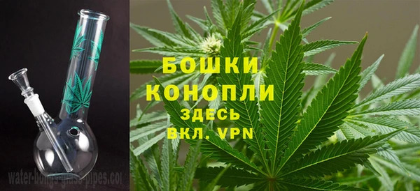 амф Тында