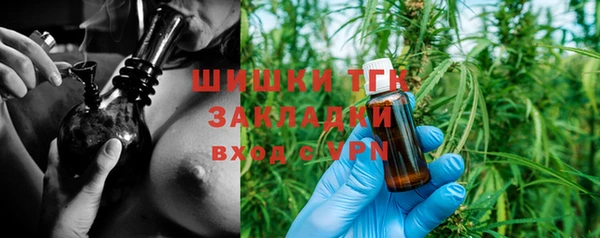 крисы Туринск