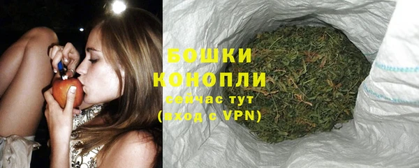 прущий лед Пыталово