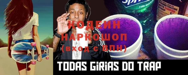 крисы Туринск
