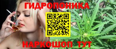 стаф Кинель