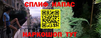 стаф Будённовск