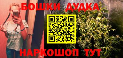 стаф Кинель