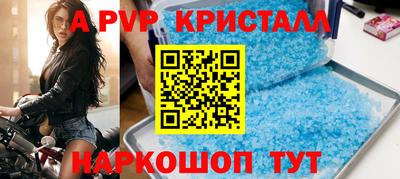 стаф Кинель