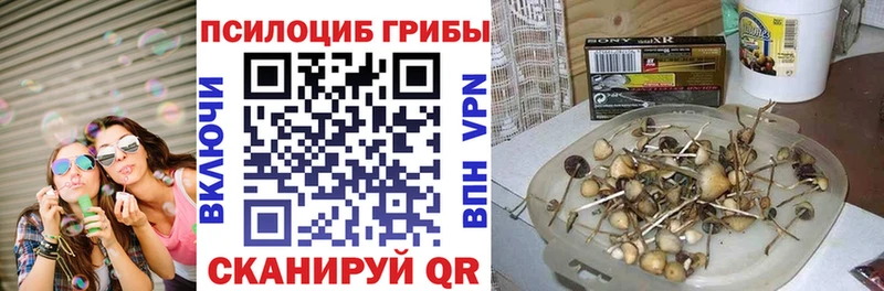 купить закладку  блэк спрут рабочий сайт  Псилоцибиновые грибы мухоморы  Северодвинск 