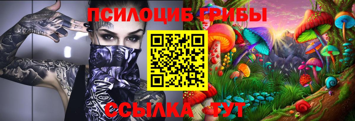 Галлюциногенные грибы GOLDEN TEACHER Северодвинск