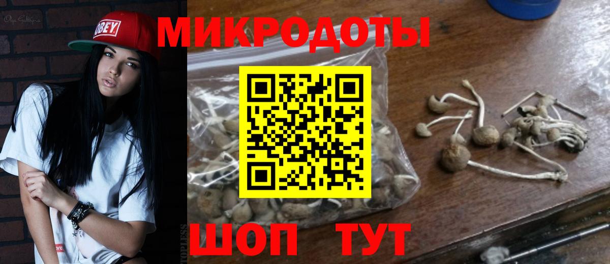 Псилоцибиновые грибы GOLDEN TEACHER  Галлюциногенные грибы ЛСД  Вход с VPN  Северодвинск 