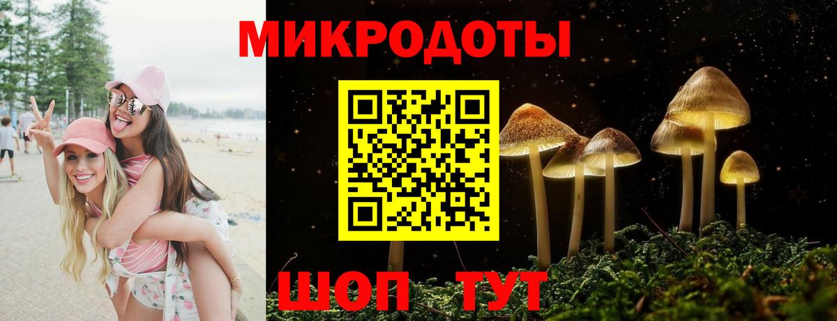 Псилоцибиновые грибы Psilocybine cubensis  наркотики  Северодвинск 