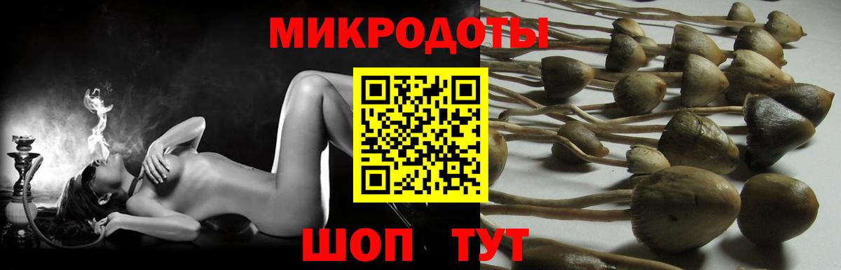 Бутират Северодвинск